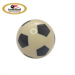 توپ پولیش مخصوص دستگاه تمیزکننده توپ بیلیارد (غیر بازی)